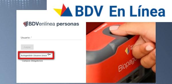 tu usuario BDV en línea 