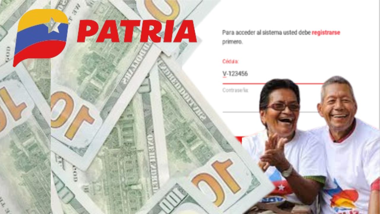 pensionado al sistema patria