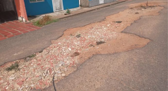 Habitantes de la calle Carabobo exigen el asfaltado de la carretera