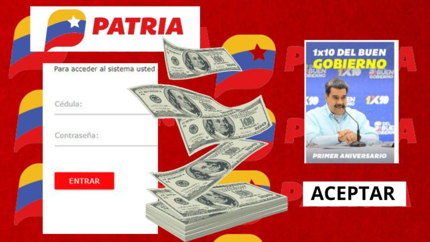 patria el bono