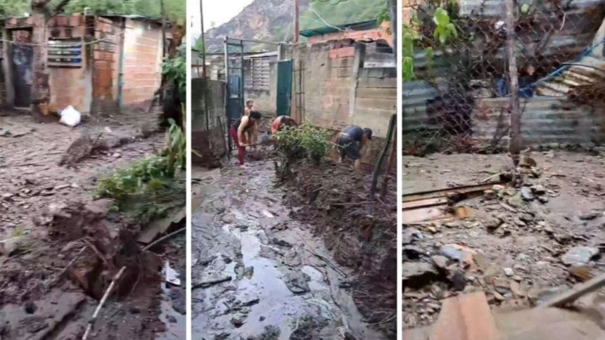 intensas lluvias afectaron varias zonas de aragua laverdaddemonagas.com la verdad de monagas 2024 05 10t123923.250