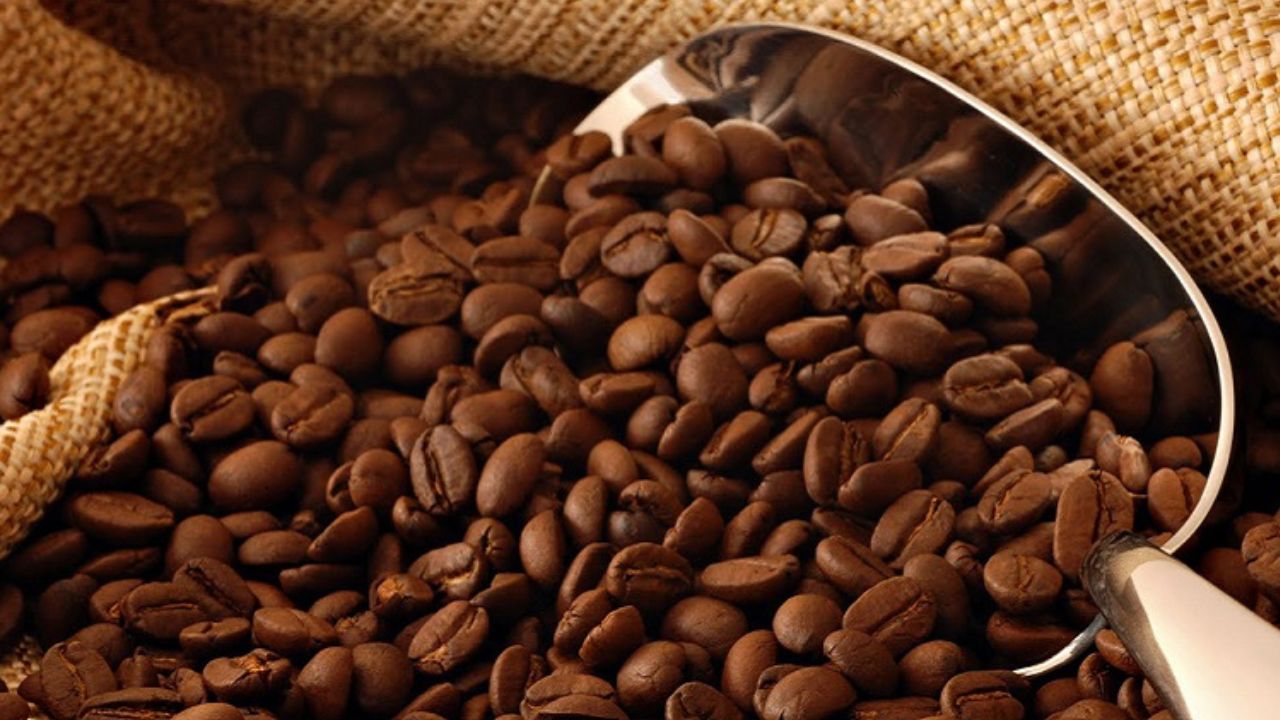A step towards the well-being of the coffee grower
