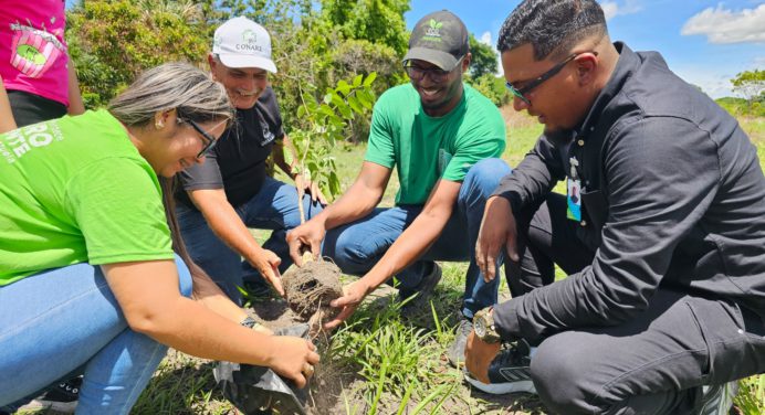 Ministerio de Ecosocialismo celebra día del Árbol sembrando 200 plantas en Los Girasoles