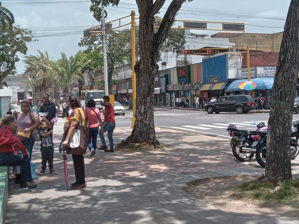 Pasaje de los adultos mayores es irrespetado por los colectores 3 mayores es