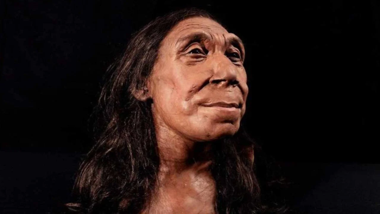 Revelan la cara de una mujer neandertal que vivió hace 75.000 años