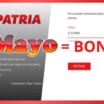 4 Bonos patria