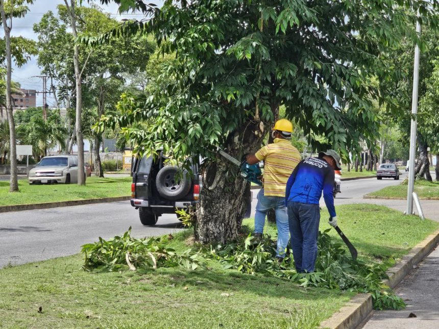 cuadrillas