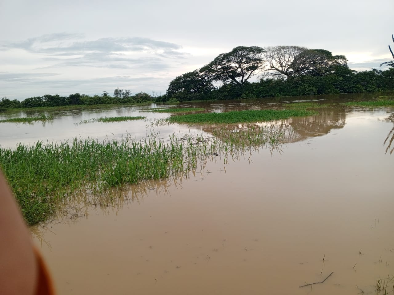 Río Santo Domingo