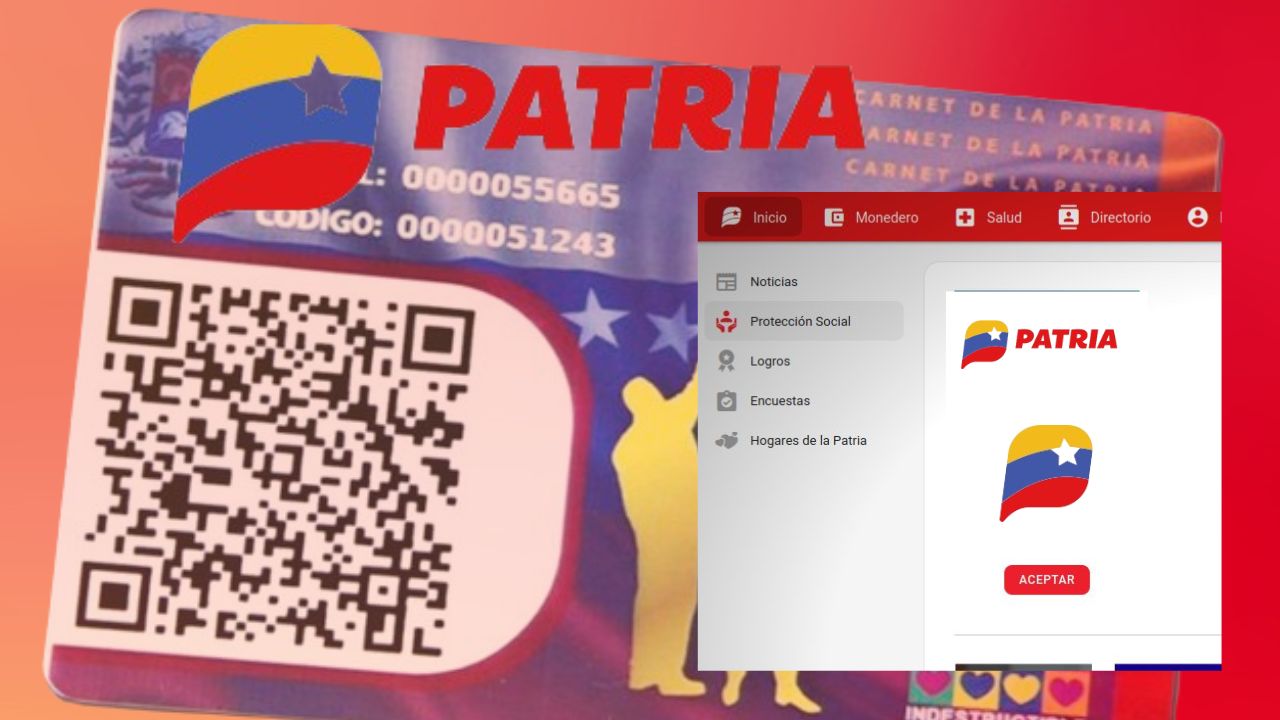 consulta en patria