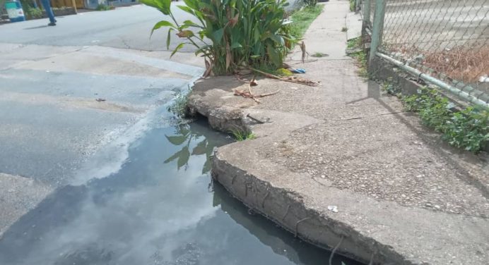 Desbordamiento de aguas servidas en la calle principal de Las Cocuizas suma otro año