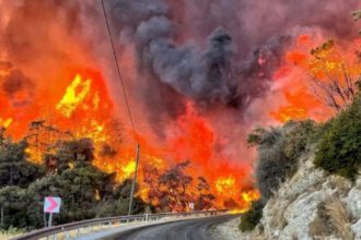 Incendios forestales en Turquía