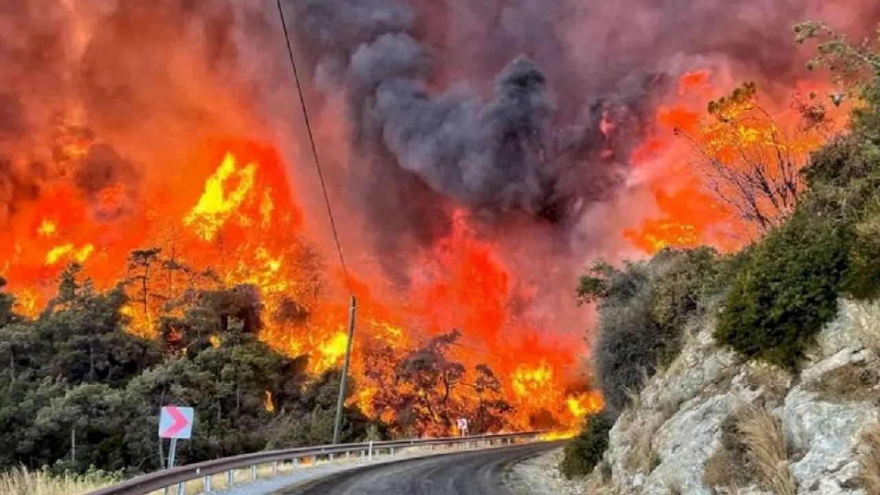 Incendios forestales en Turquía