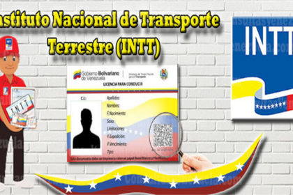 INTT 2024: Licencia de Conducir +Pasos para usarla en el extranjero