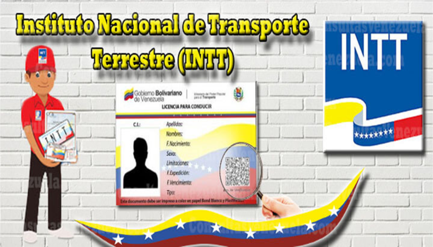 INTT 2024: Licencia de Conducir +Pasos para usarla en el extranjero