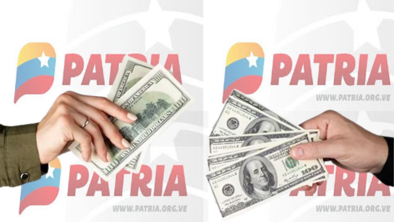 patria con entrega directa