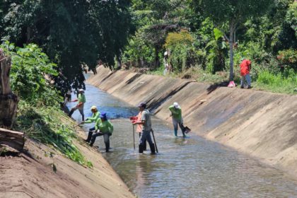 caño