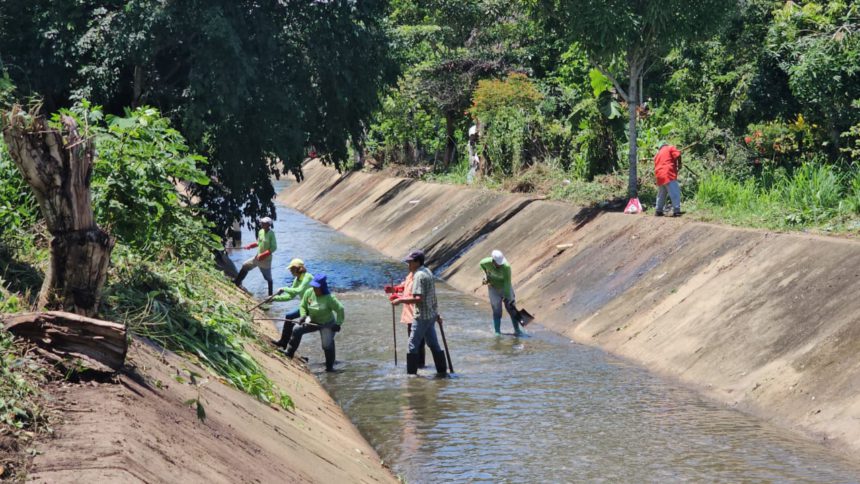 caño