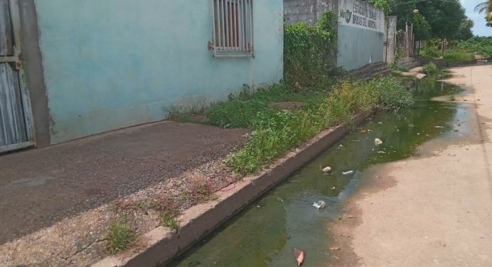 Vecinos de Brisas del Morichal viven entre aguas servidas