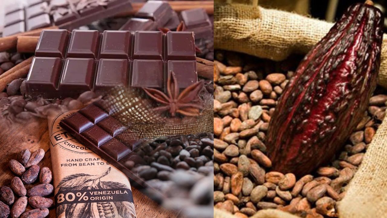 Venezuela celebra el «Día del chocolate» este 8 de junio