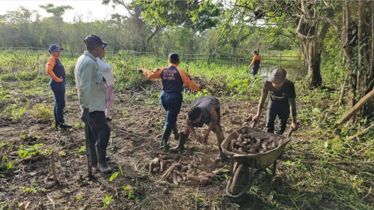 20 hectáreas productivas son afectadas en Monagas por fuertes lluvias