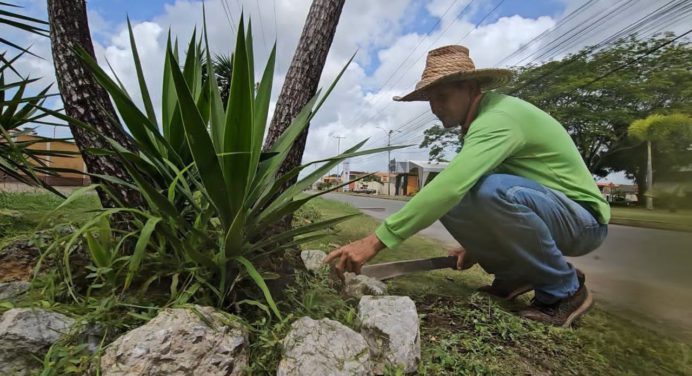 Alcaldía ejecuta mantenimiento en las áreas verdes de la avenida Los Próceres