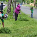 áreas verdes alcaldía