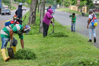 áreas verdes alcaldía