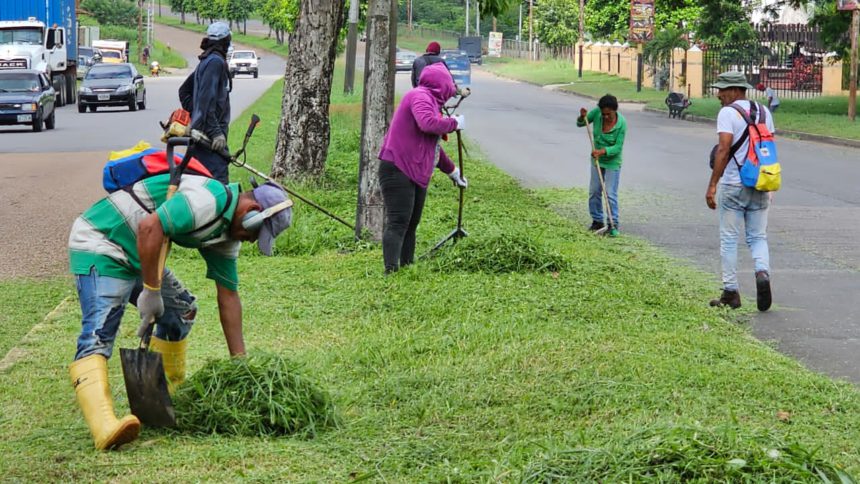 áreas verdes alcaldía