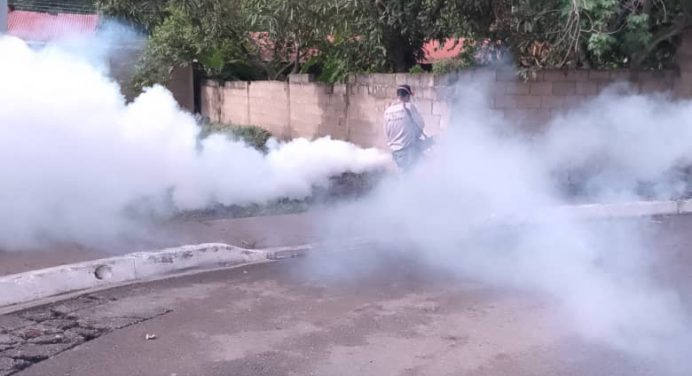 Atienden con operativo de fumigación 386 casas en el municipio Acosta