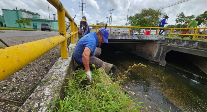 Bolsas de basura y hasta animales muertos lanzan a los caños de Maturín