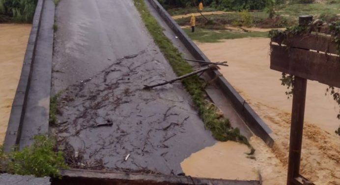 Colapsó puente sobre río El Nulita entre Apure y Táchira