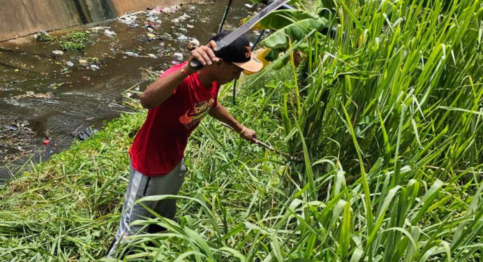 Gobierno municipal ejecuta mantenimiento en el caño de Brisas de La Floresta