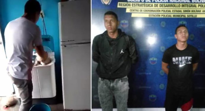 Dos sujetos detenidos por meter un perro en una lavadora