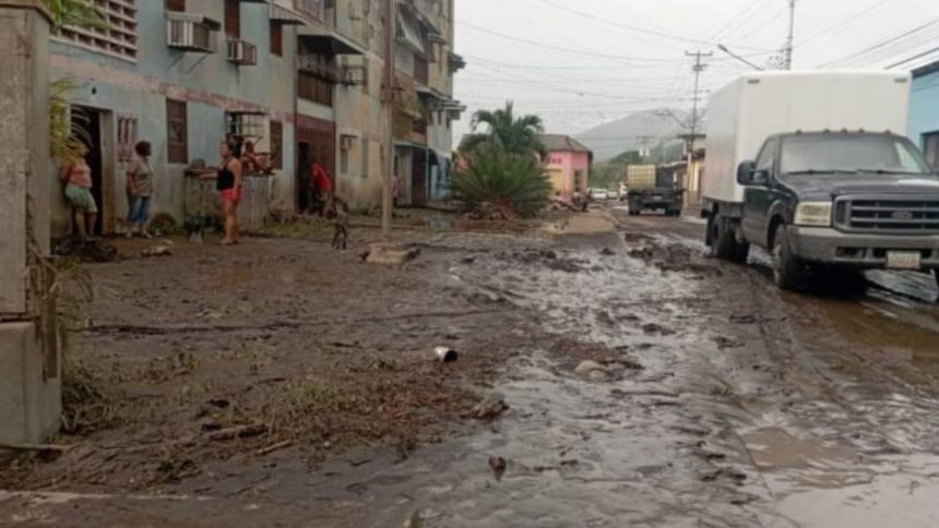 comercios de Cumanacoa