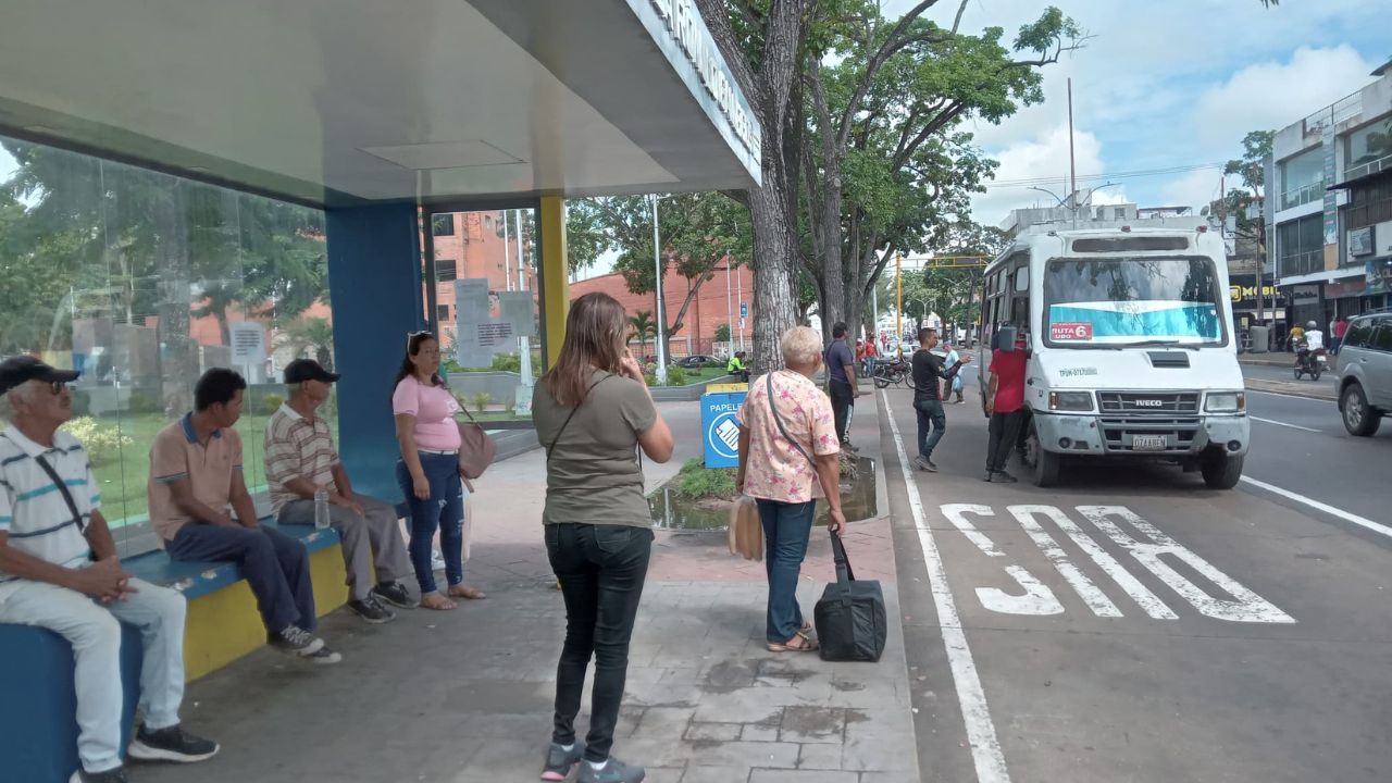 poco transporte público