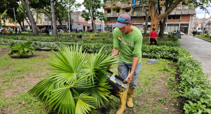 Ornato diario en espacios públicos otorgan a Maturín una identidad vanguardista