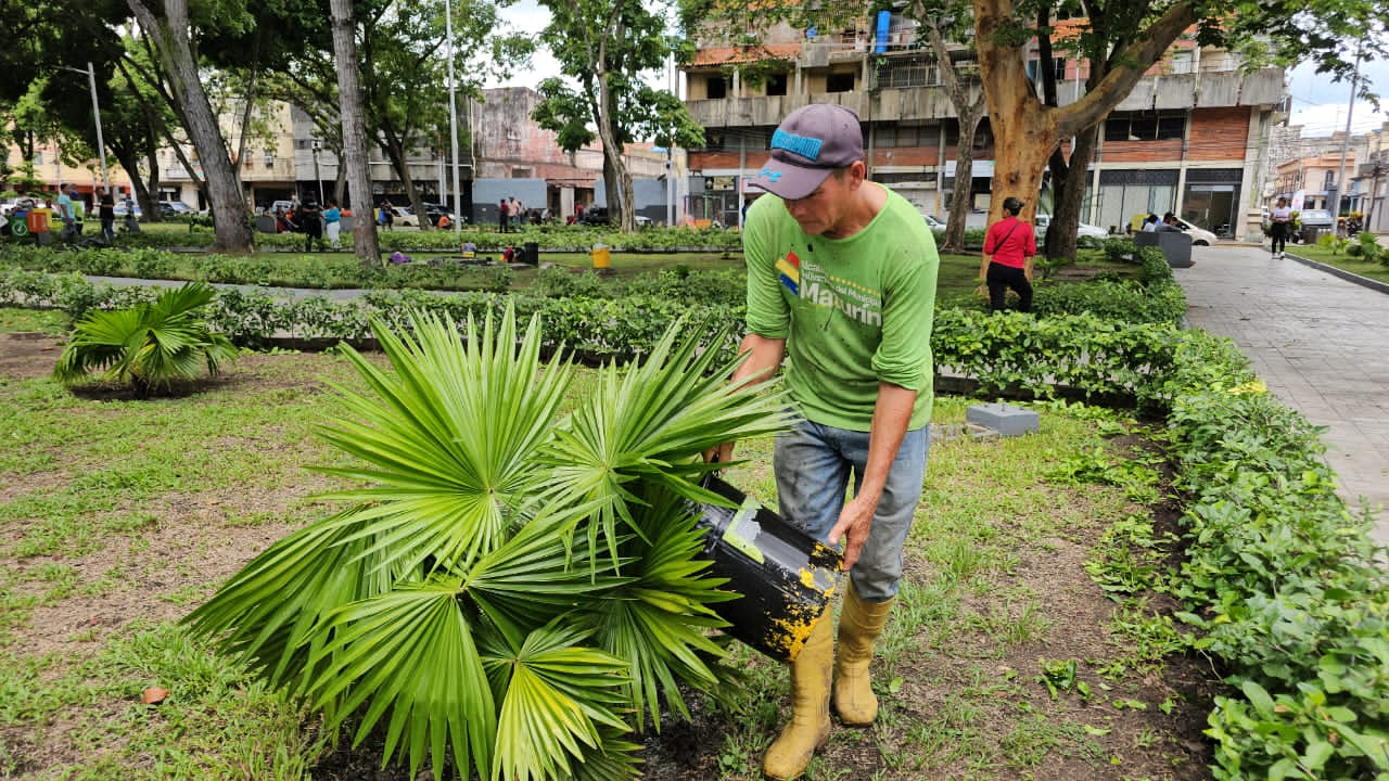 Maturín