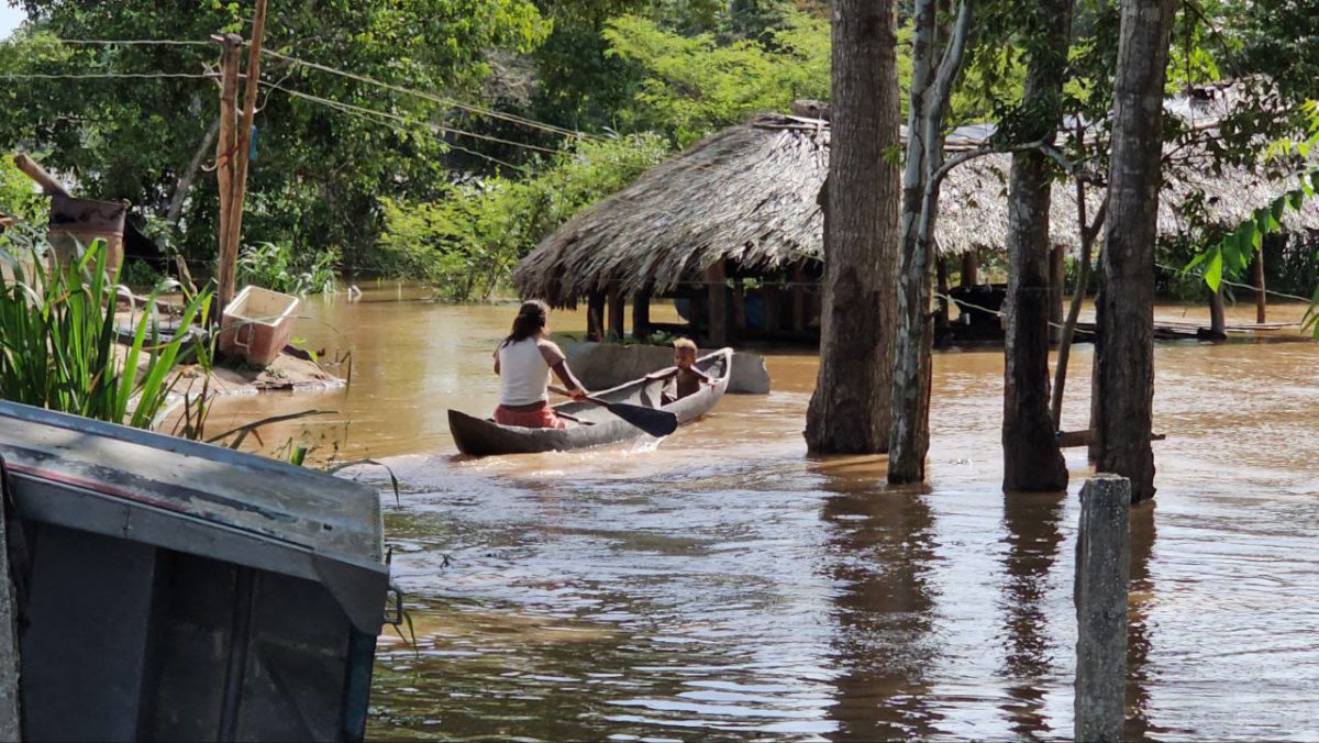 pc maturin auxilio a seis familias indigenas afectadas por crecida del rio tigre laverdaddemonagas.com tigre7