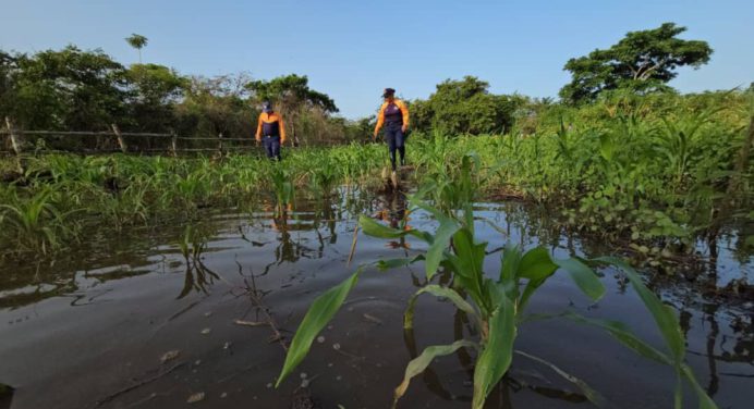 Protección Civil Maturín inspecciona la zona agrícola afectada por la crecida del río Amana