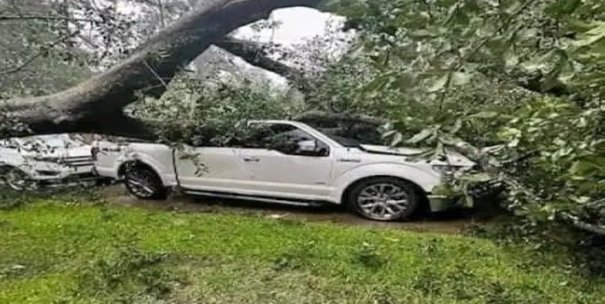 Tormenta Tropical Beryl 