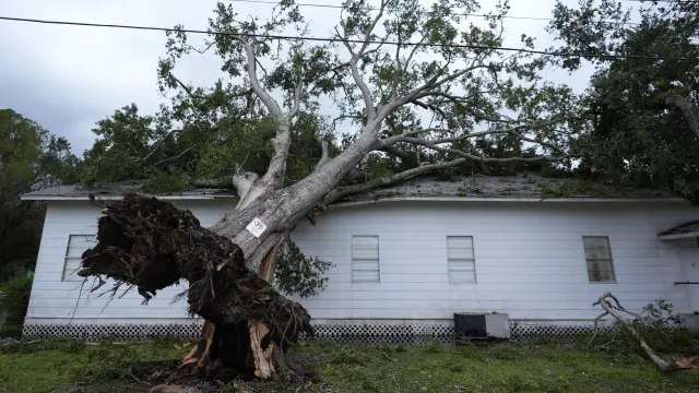 Tormenta Tropical Beryl 