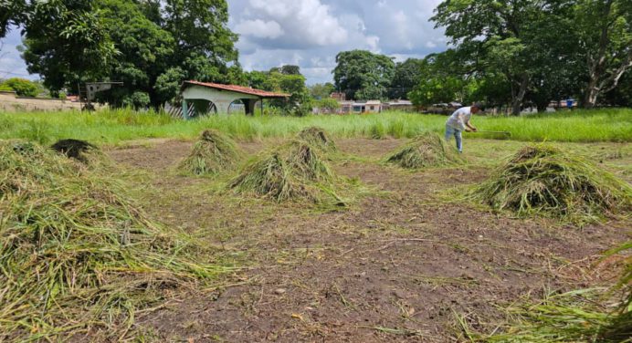 Alcaldía de Maturín realiza mantenimiento general de los parques municipales