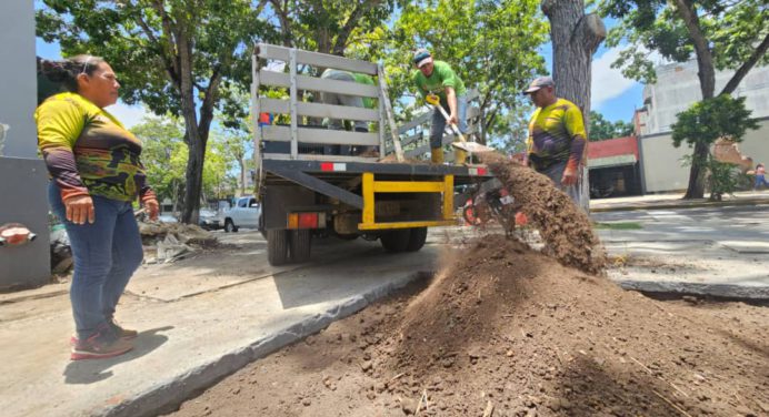 Alcaldía inicia la siembra de plantas ornamentales en la Casa de la Cultura