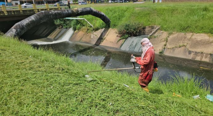 Alcaldía limpia 3,5 kilómetros de áreas verdes en la avenida Orinoco