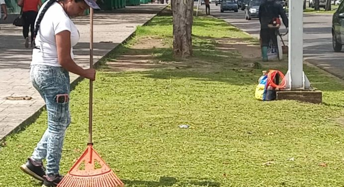 Ejecutan trabajos de jardinería en 120 plantas de la avenida Luis del Valle García