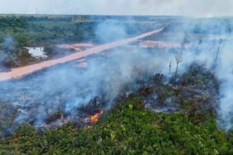 Incendios en São Paulo