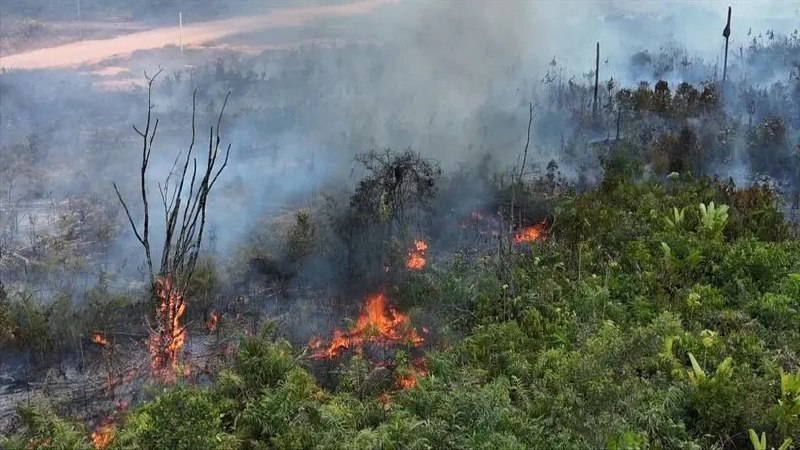 incendios en São Paulo