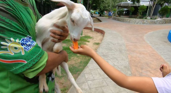 Parque La Guaricha es un aula abierta para niños con diversidad funcional
