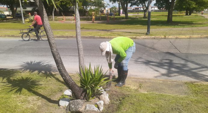 Realizan mantenimiento en redoma Fray Lucas de Zaragoza y Paseo Los Próceres