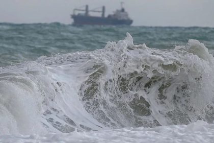 Tsunami en costas de Japón